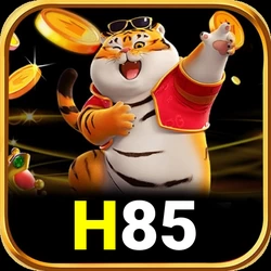 Update Aplikasi h85 Terbaru 2026 — ikon APK