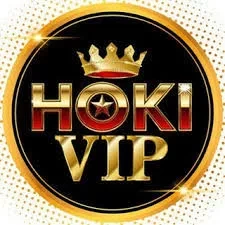 Cara Menggunakan Aplikasi hokivip untuk Pemula — ikon APK